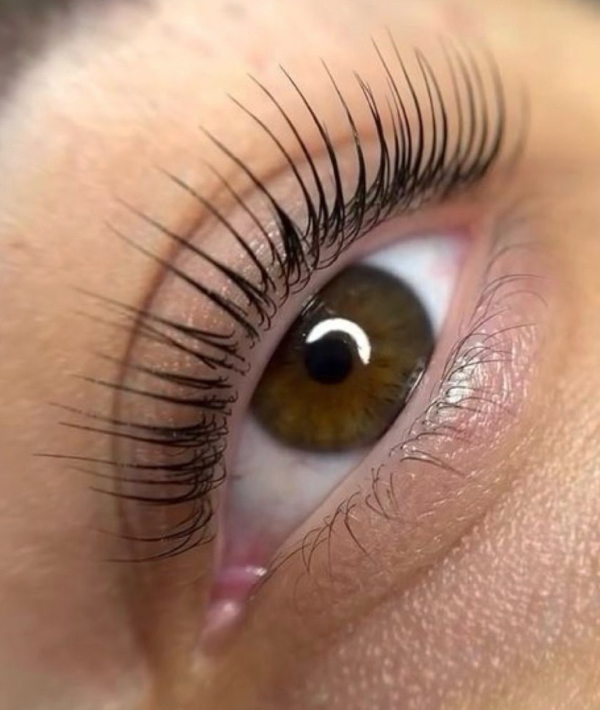 Wimpern